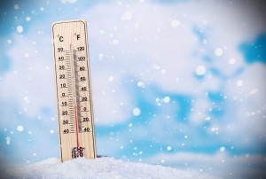 Winter Survival Skills: Tuesday December 6, 2016